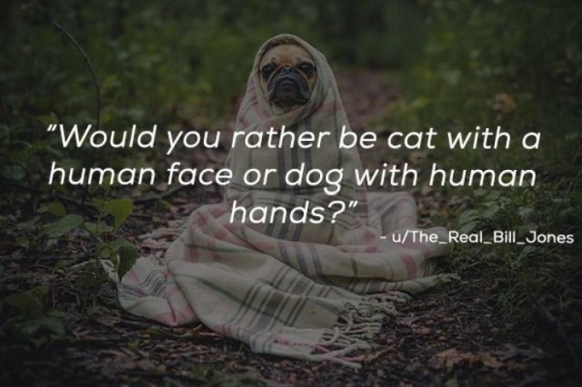 “Would You Rather?” Is A Very Difficult Game (23 pics)