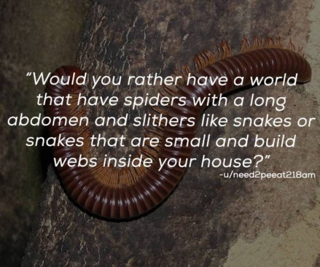 “Would You Rather?” Is A Very Difficult Game (23 pics)