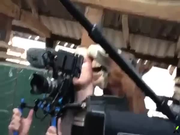 Camera Operator Is Not An Easy Job