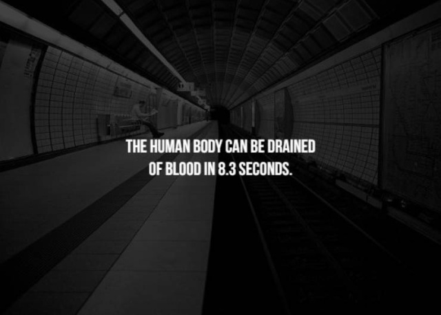 Scary Facts (17 pics)