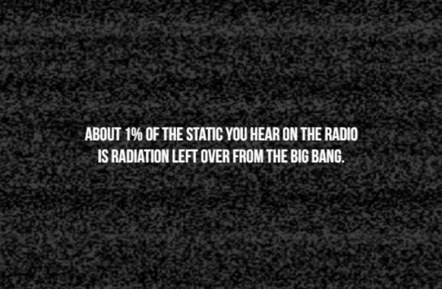 Scary Facts (17 pics)