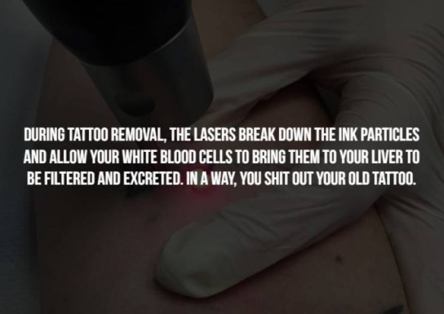 Scary Facts (17 pics)