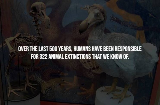 Scary Facts (17 pics)