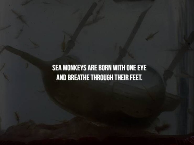 Scary Facts (17 pics)