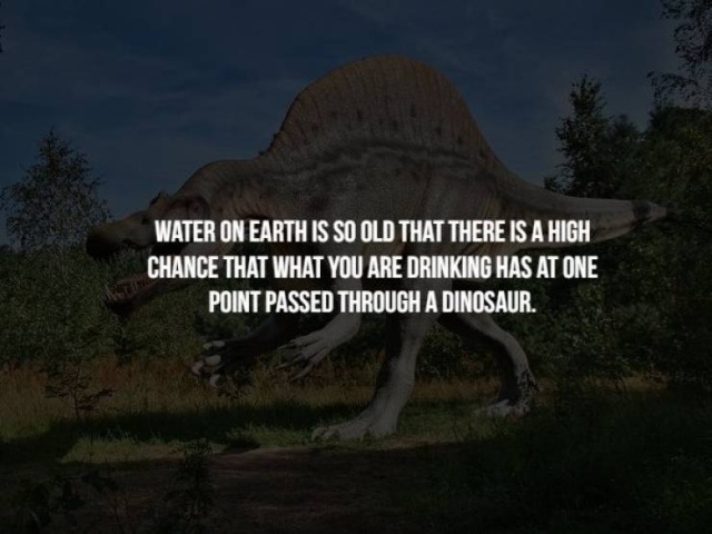Scary Facts (17 pics)