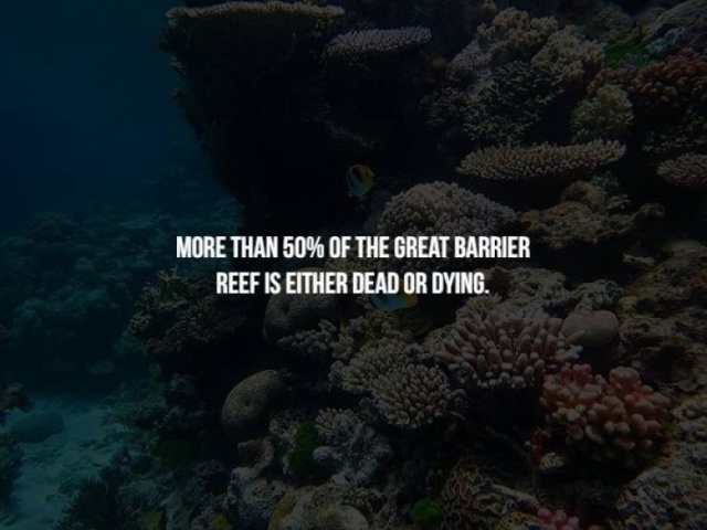 Scary Facts (17 pics)