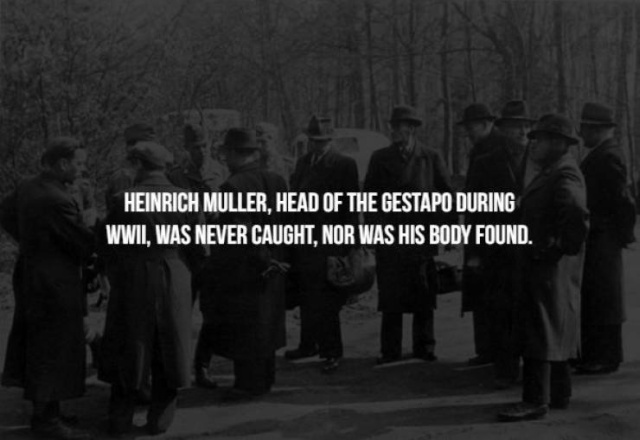 Scary Facts (17 pics)