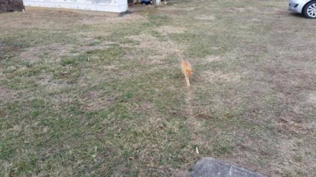 Desire Paths Show How Lazy And Practical People Are (22 pics)