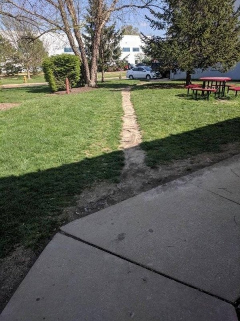 Desire Paths Show How Lazy And Practical People Are (22 pics)