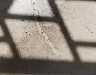 Desire Paths Show How Lazy And Practical People Are (22 pics)