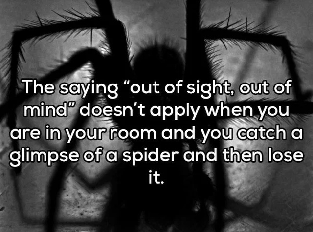 Shower Thoughts (20 pics)