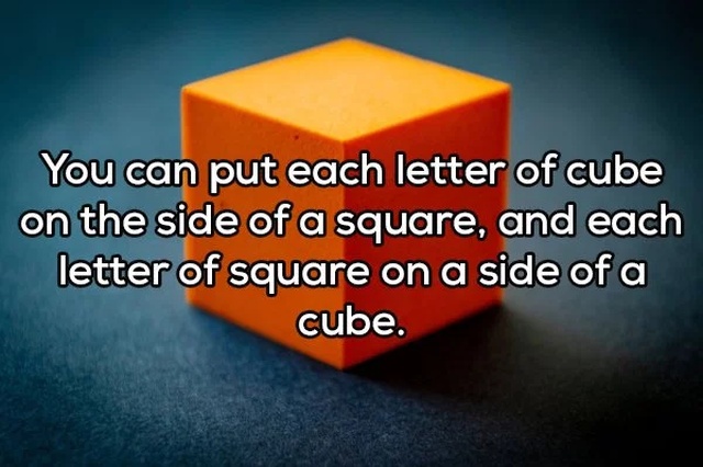 Shower Thoughts (20 pics)