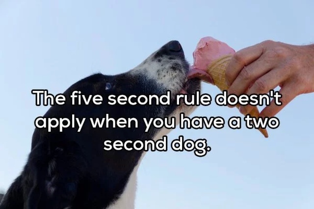 Shower Thoughts (20 pics)