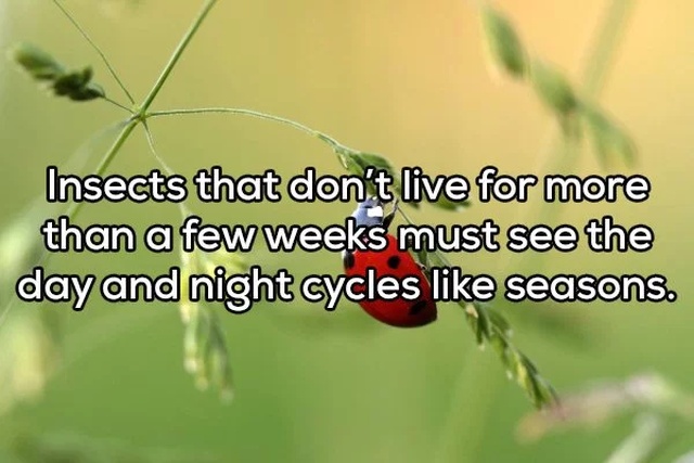 Shower Thoughts (20 pics)