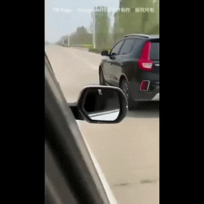 I Wasn't Expecting This (15 gifs)