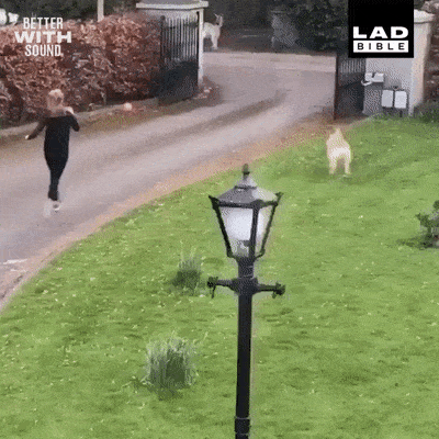 I Wasn't Expecting This (15 gifs)