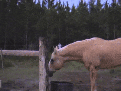 I Wasn't Expecting This (15 gifs)