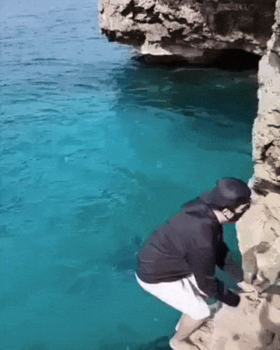 I Wasn't Expecting This (15 gifs)