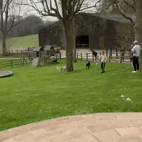 Acid Gifdump, April 29 (25 gifs)