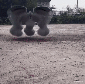 Acid Gifdump, April 29 (25 gifs)