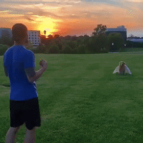 Acid Gifdump, April 29 (25 gifs)