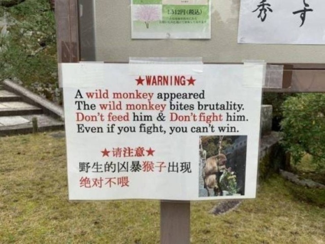 Funny Signs (30 pics)