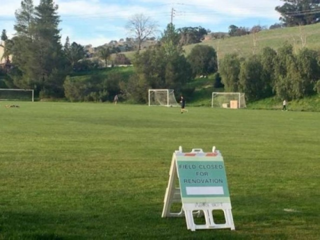 Funny Signs (30 pics)