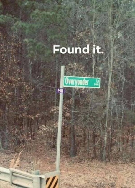 Funny Signs (30 pics)