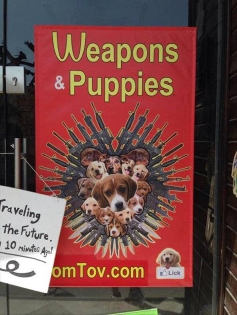 Funny Signs (30 pics)
