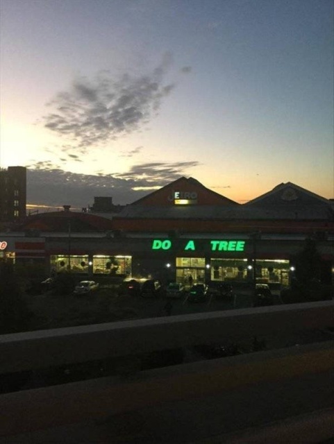 Funny Signs (30 pics)