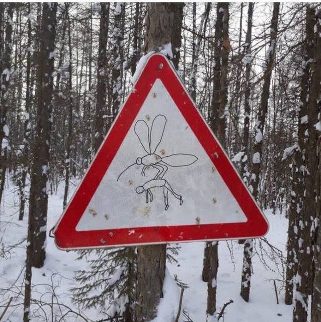 Only In Russia (36 pics)