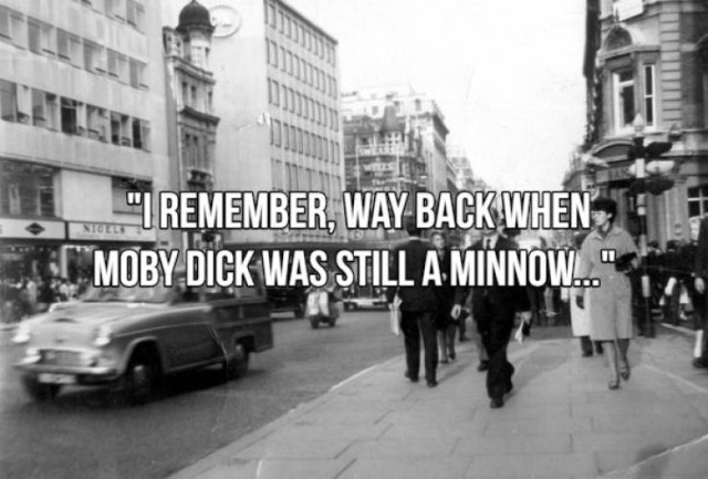 English Language Is Full Of Witty Sayings (15 pics)