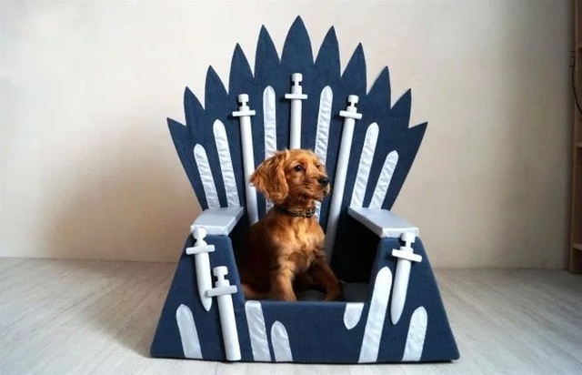 Thrones Of Game Of Thrones Fans (26 pics)