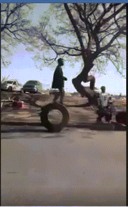 Acid Gifdump, April 30 (25 gifs)