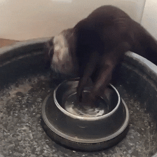Acid Gifdump, April 30 (25 gifs)