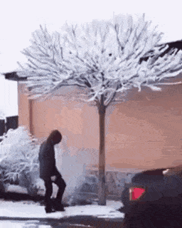 Acid Gifdump, April 30 (25 gifs)