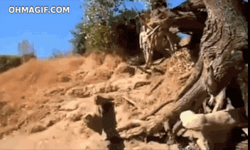 Hot Girls Fail Too. Part 2 (15 gifs)