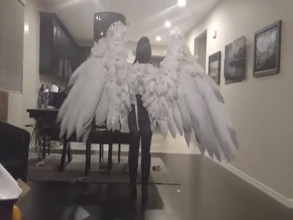 Wings Cosplay Costume Looks Unreal