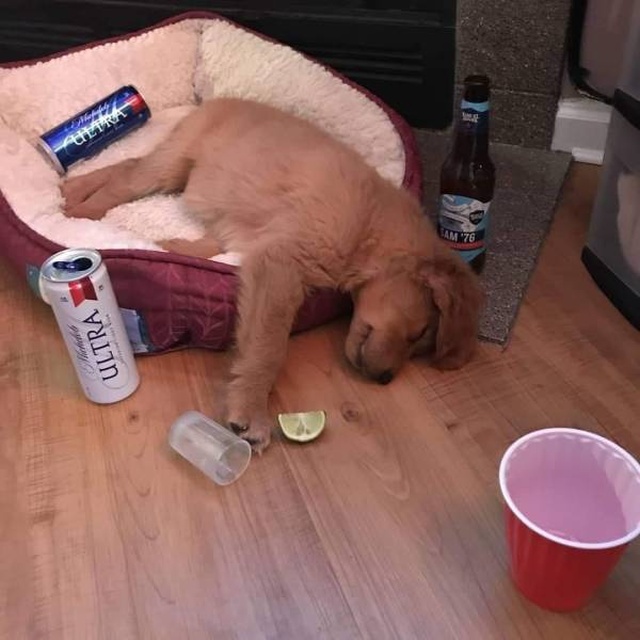 Acid Picdump (70 pics)