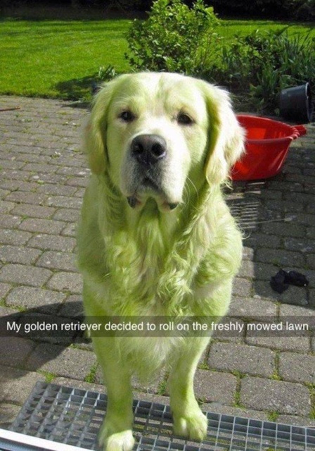 Acid Picdump (70 pics)