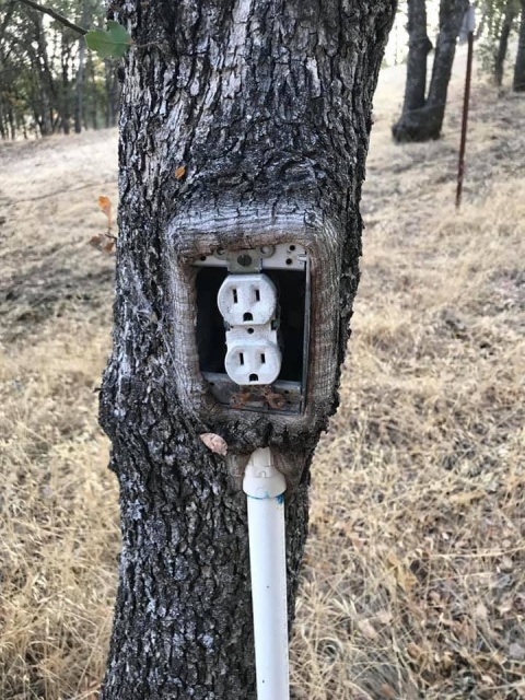 Acid Picdump (70 pics)