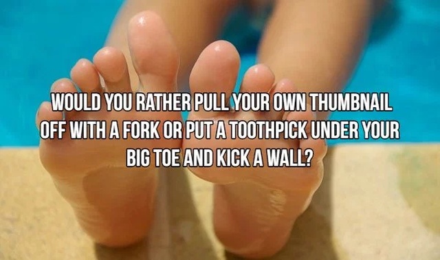 Would You Rather... (17 pics)