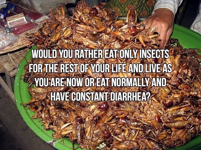 Would You Rather... (17 pics)