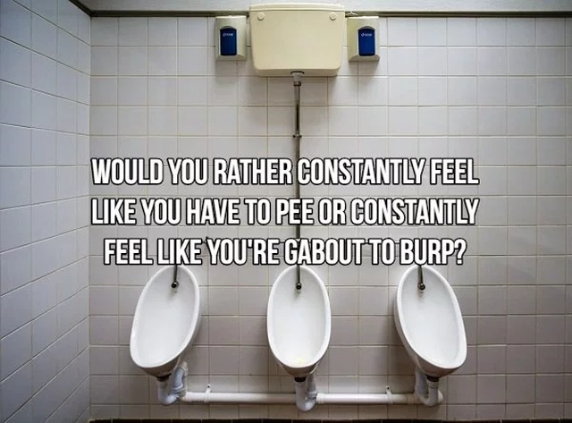 Would You Rather... (17 pics)