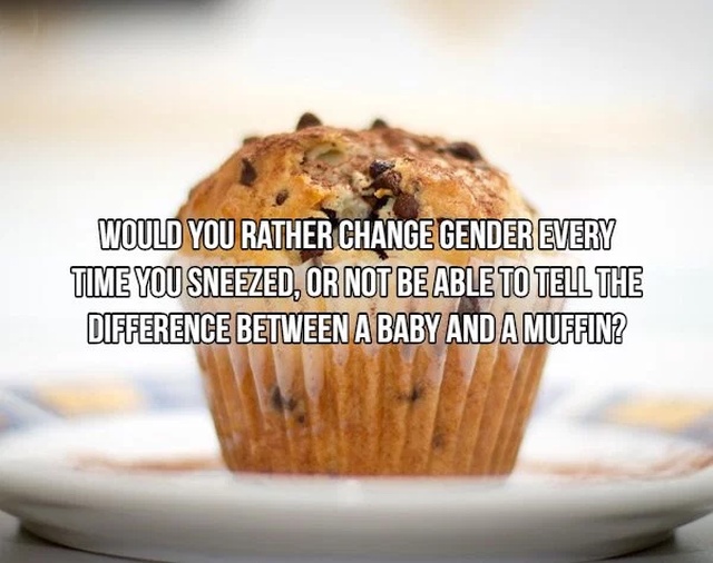 Would You Rather... (17 pics)