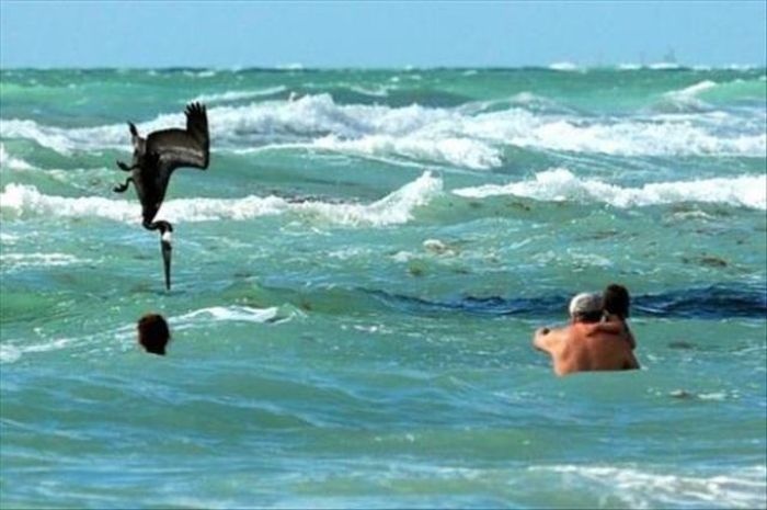 Photos Taken At The Right Moment (25 pics)