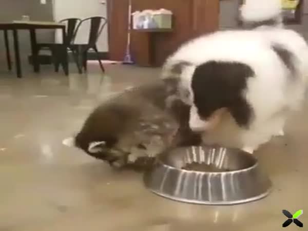 Don't Mind Me, Just Sitting Here