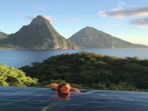 Oh Cmon, There Is Even A Bird