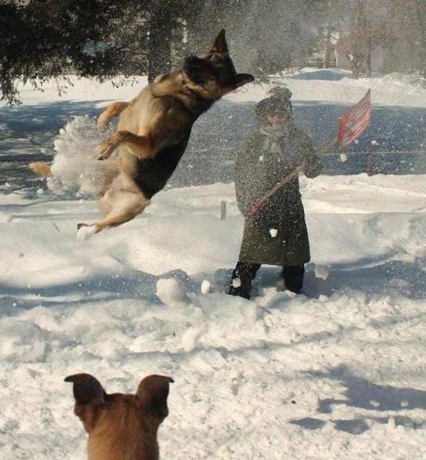 It Doesn't Seem Right (23 pics)