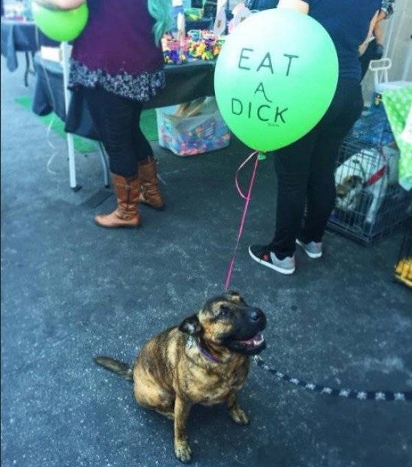 It Doesn't Seem Right (23 pics)